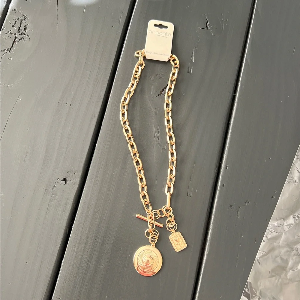 NWT Vici Lasso Love Charm Lariat Necklace - Picture 3 of 9